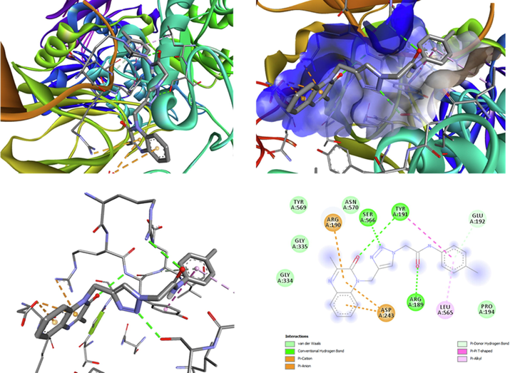 The ligand MOQTA is docked into the binding site of glucosidase. (A) Binding of MOQTA with glucosidase, (B) (3D) amino acid residues and interactions in MOQTA-glucosidase hydrophobic pocket. (C) (3D) amino acid residues and interactions in MOQTA-glucosidase complex. (D) (2D) amino acid residues and many interactions formed in MOQTA-glucosidase compound.