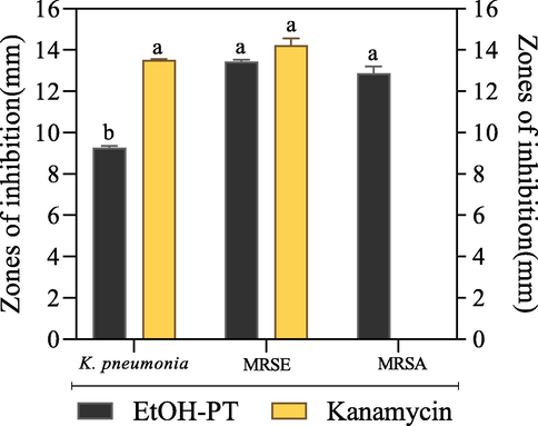 (a) In vitro antibacterial activity of P. thomsonii callus extracts (EtOH-PT); (b) MIC and MBC of P. thomsonii callus extracts (EtOH-PT)