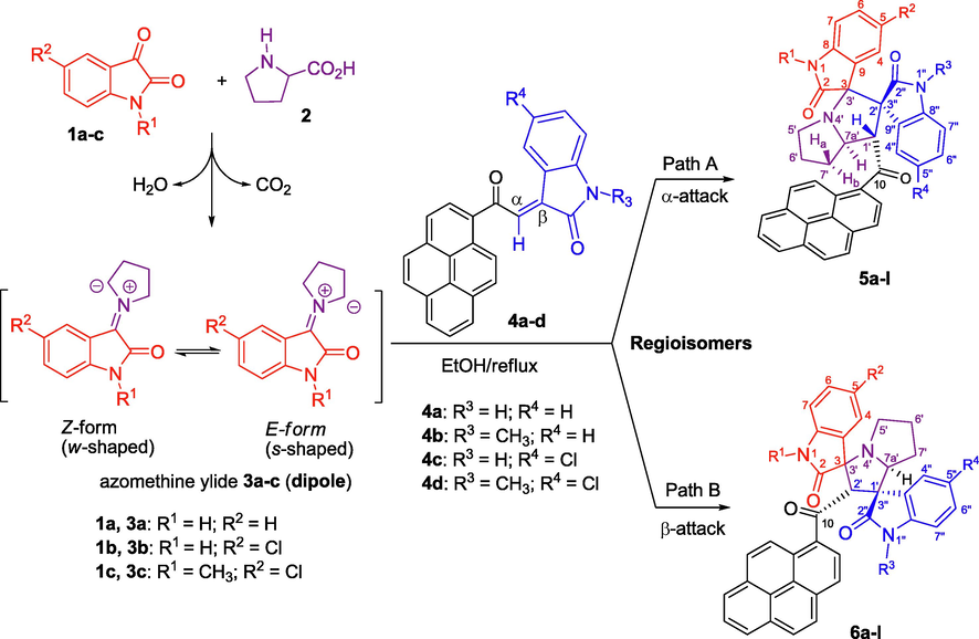 Synthesis of 1′-(1-pyrenoyl)-dispiro[indoline-3,3′-pyrrolizidine-2′,3″-indoline]-2,2″-diones 5a-l and 2′-(1-pyrenoyl)-dispiro[indoline-3,3′-pyrrolizidine-1′,3″-indoline]-2,2″-diones 6a-l.