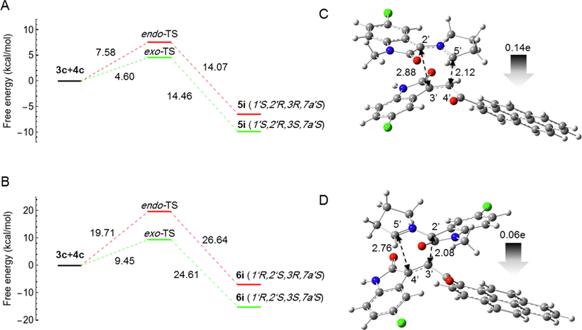 Computed free energy profiles of the possible reaction paths for (3c + 4c). (A) Free energies of α-attack (path A) for the formation of 5i via exo- and endo-TS, respectively. Relative free energies are given in kcal/mol. (B) Free energies of β-attack (path B) for the formation of 6i via exo- and endo-TS, respectively. Relative free energies are given in kcal/mol. (C) Optimized geometry of 5i-exo-TS. (D) Optimized geometry of 6i-exo-TS. The 5′⋯4′ and 2′⋯3′ bond distances are indicated with black dotted arrows. The gray arrow shows the direction of GEDT.