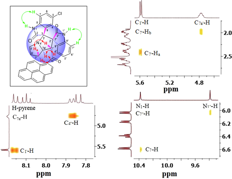 (a) Overview of pertinent correlations observed in the 1H–1H-ROESYAD spectrum of 5b showing truncated signals stemming from C1′—H, C7a′—H, C7′—Ha and C7′—Hb, N1-H, N1″—H, C7-H, and C7″—H.