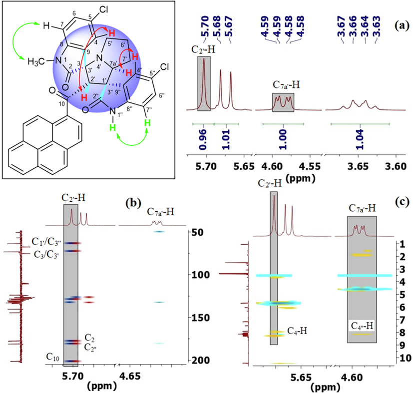 (a) Relevant signals and correlations observed in the (a) 1H, (b) 1H–13C-HMBCAD, and (c) 1H–1H-ROESYAD NMR spectra of 6i showing truncated signals stemming from C2′—H and C7a′—H.