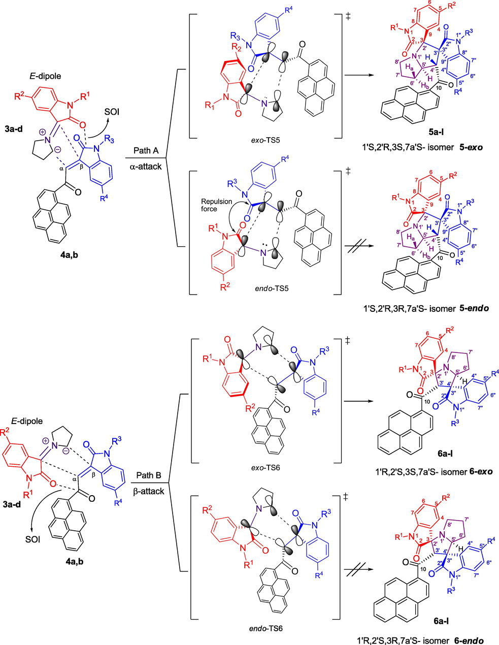 Plausible mechanism for the formation of 1′-(1-pyrenoyl)-dispiro[indoline-3,3′-pyrrolizine-2′,3″-indoline]-2,2″-diones 5a-l and 2′-(1-pyrenoyl)-dispiro[indoline-3,3′-pyrrolizine-1′,3″-indoline]-2,2″-diones 6a-l.