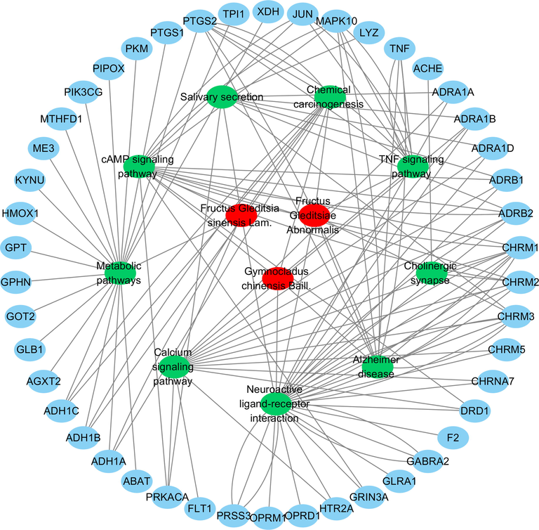 The “drug-signal pathway-target” network diagram of FGSL, FGA and GCB.