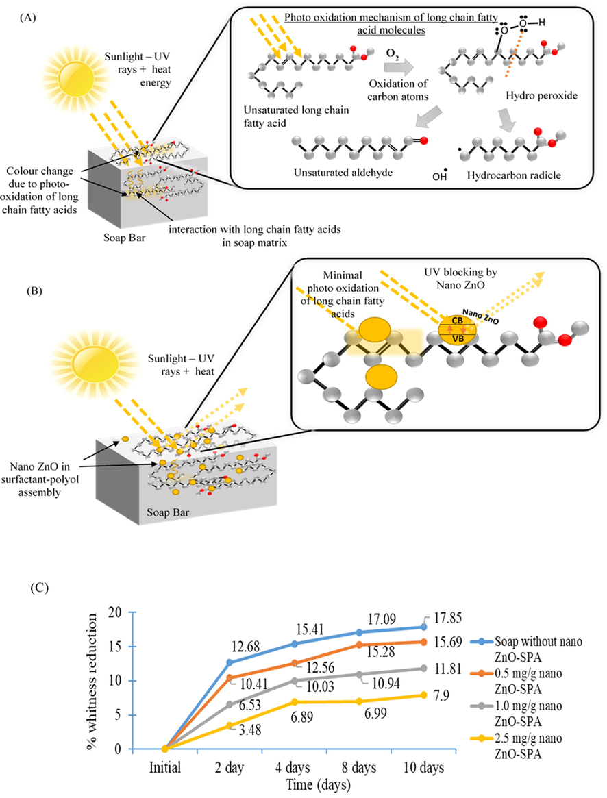 (A) Mechanism of UV light exposure on the soap and shows the color change and free radical generation in fatty acid. (B) Systematic presentation of nano ZnO blocking phenomenon of UV rays to reduce the rate of color degradation. (C) Photostability study of soap matrix in direct sunlight for 10 days with different concentration of nano ZnO synthesized in SPA.