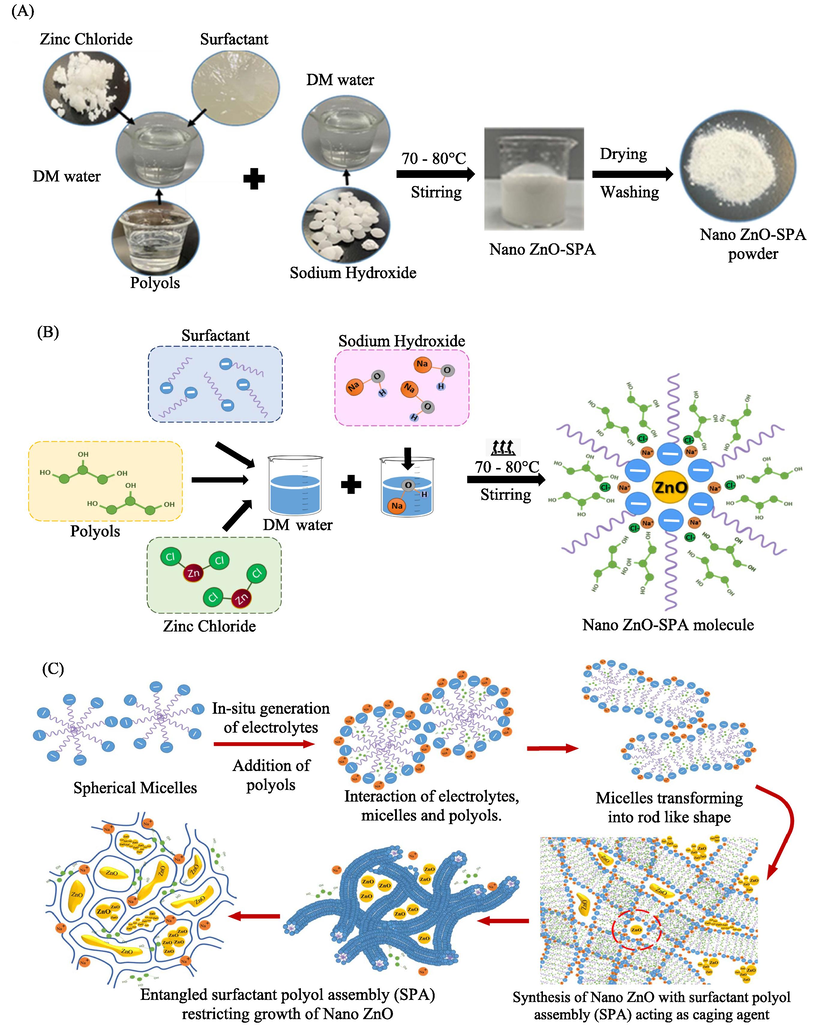 (A and B) Systematic and mechanistic presentation to fabricate nano ZnO in SPA (C) Illustrative mechanism of caging of nano ZnO in SPA.