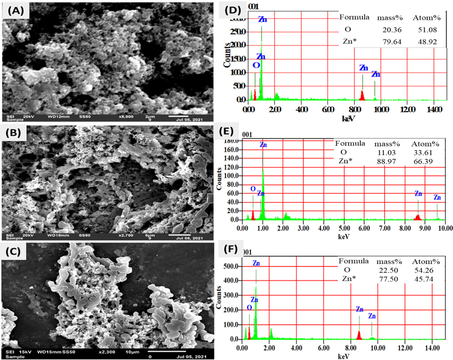 (A, B and C) Representative SEM images of powdered nano ZnO-SPA, (D, E and F) EDS of powdered nano ZnO-SPA revealing the elemental composition in graphical and tabulated form respectively.