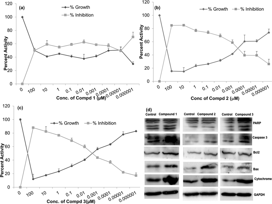 Effect on growth of HeLa cells in presence of: a) Compound 1, b) Compound 2, c) Compound 3, d) Immunoblot analysis of the apoptosis proteins in cells treated with the compounds 1 – 3.