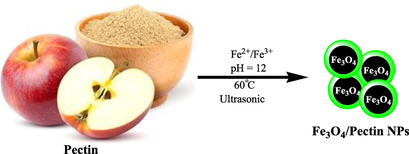 Schematic one-pot preparation of Fe3O4/Pectin NPs under ultrasound condition.