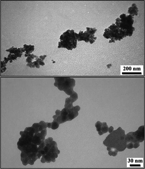 TEM images of Fe3O4/Pectin NPs.