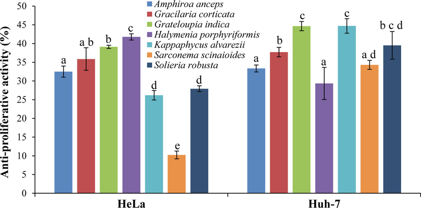 Proliferation–inhibition of tropical red seaweed extracts on carcinoma cell (HeLa and Huh-7) lines using MTT assay. All data are shown as mean ± SD (n = 3) percent inhibition and different small letters show a statistically significant difference at p < 0.05 (Tukey test).