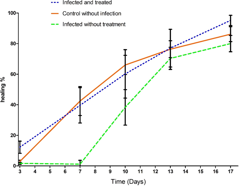 The % wound closure of all wounds. The significance of the time in days on the wound healing was highly significant, p < 0.0001. In addition, the differences among the groups were highly effective, p < 0.001. the number of rats is 5 in each group from day 3 to day 10, and n = 4 until the end of the experiment.