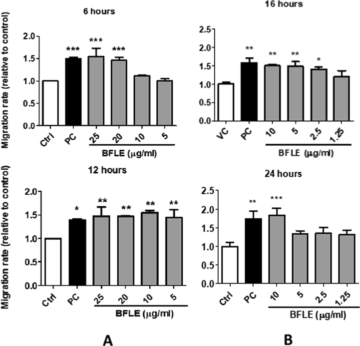 Effect of BFLE on relative migration rate of A) HaCaT cells at 6 and 12 h and B) BJ cells at 16 and 24 h. Data were expressed as mean of migration rate of HaCaT and BJ cells relative to untreated control. PC; positive control (10 μg/ml allantoin) * p < 0.05, ** p < 0.01 and p < 0.001 vs control.