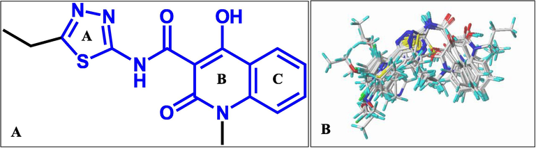 (A) The most potent inhibitor 1 is used as the template for Alignment 1. (B) The result of Alignment 1.