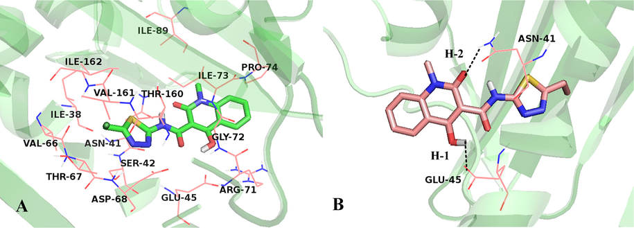 (A) Binding geometry of Cpd01 determined by MD simulation. (B) Hydrogen bond interaction with binding site residues, Cpd01 is displayed in stick, hydrogen bonds are shown as dotted black lines, and the nonpolar hydrogens were removed for clarity.