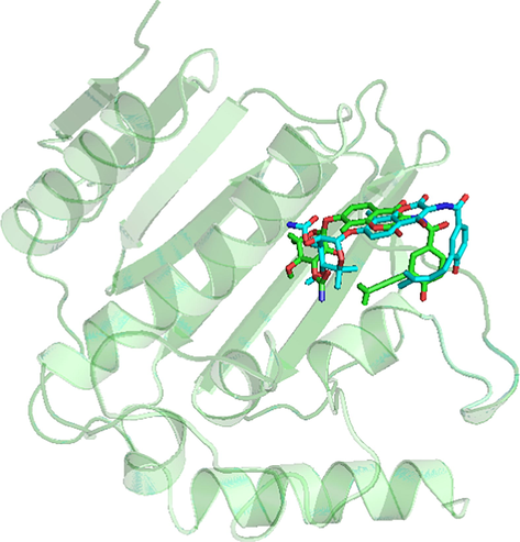 Superimposition of the original pose and the re-docked pose (Cyan = Original, Green = Docked).