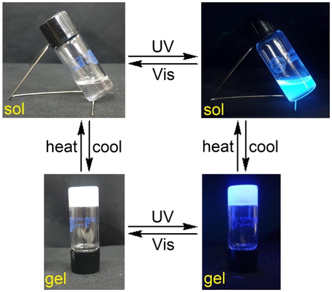 Thermal and emission reversibility of gel 3b (n-octanol) monitored by the stable to inversion approach under ultraviolet (UV) and visible (Vis) lights.