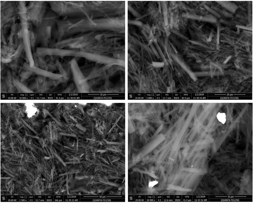 SEM micrographs of dried xerogel generated from gelator 3b in n-octanol.