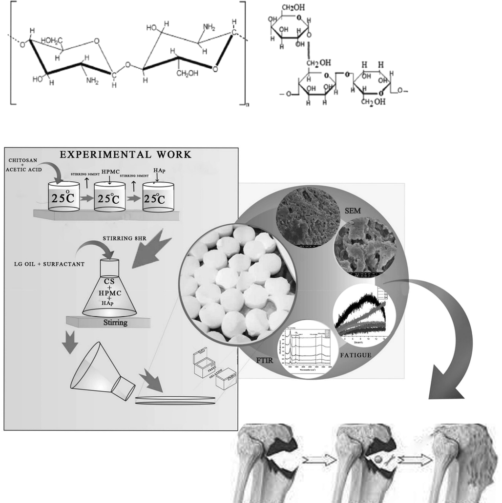 Schematic presentation of CS-HPMC-HAp-LGO composite.