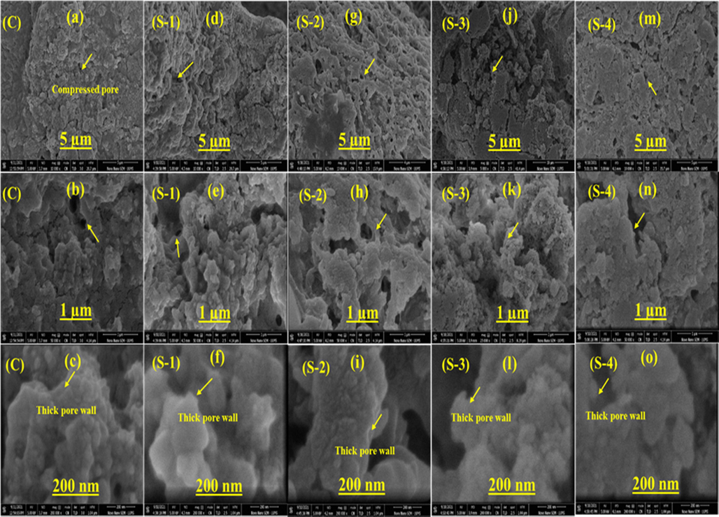 SEM images of an CS-HPMC-HAp-LGO composite scaffolds.