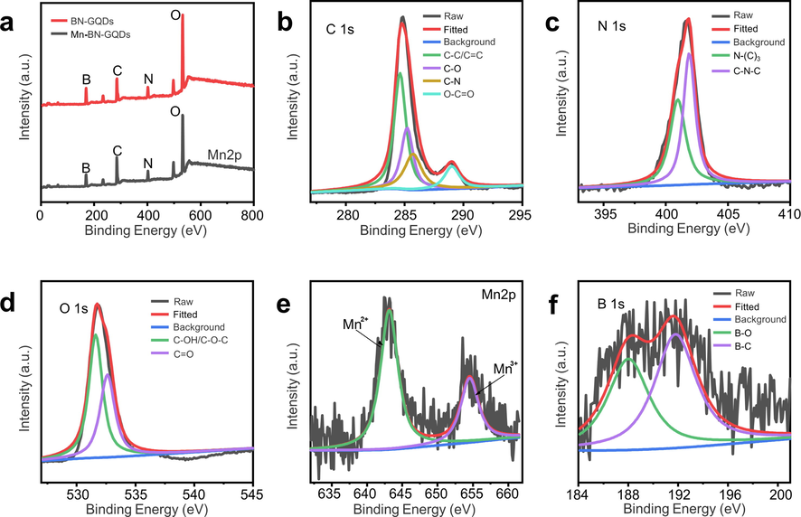 a. XPS survey spectra of Mn-BN-GQDs and BN-GQDs. b. C 1 s, c. N 1 s and d. O 1 s region of Mn-BN-GQDs. XPS high resolution of e. Mn 2p and f. B 1 s.