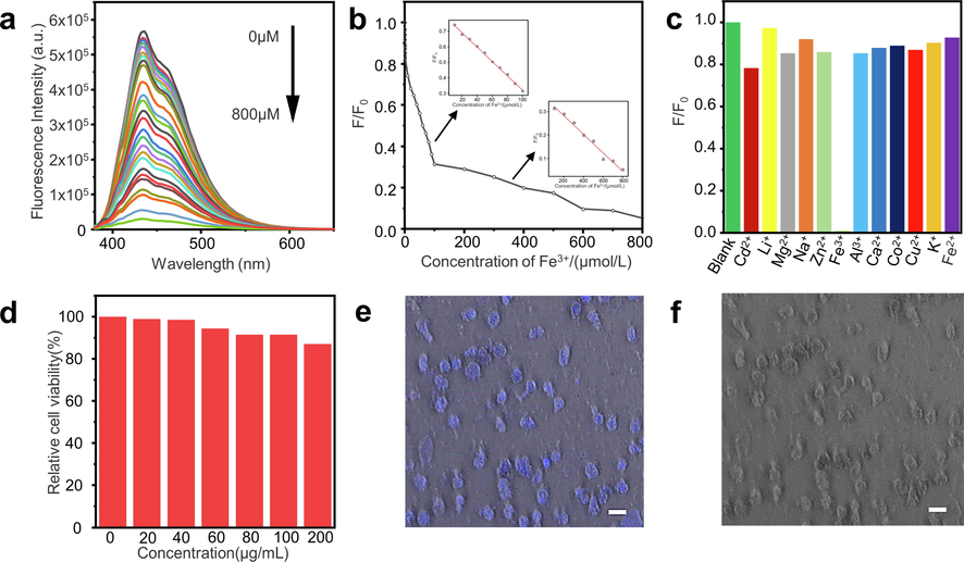 Fluorescence quenching of Fe3+ by Mn-BN-GQDs and its application in biological imaging. a. Emission spectra (λex = 345 nm) of in the presence of different concentrations of Fe3+ (from top to bottom:0.1, 0.2, 0.3, 0.4, 0.5, 0.6, 0.7, 10, 20, 30, 40, 50, 60, 70, 80, 90, 100, 200, 300, 400, 500, 600, 700, 800 μM). b. The relationship between F/F0 and Fe3+ ions concentrations range from 0 to 800 μM. (Insert: Linear relationship between F/F0 and Fe3+ concentrations 10 ∼ 100 μM. Linear relationship between F/F0 and Fe3+ concentrations 100 ∼ 800 μM.) c. Fluorescence responses of Mn-BN-GQDs to the different metal ions (pH = 7). The concentration of each metal ion is 800 μM. F0 and F correspond to the fluorescence intensities of Mn-BN-GQDs at 434 nm with the 345 nm excitation wavelength in the absence and presence of metal ions, respectively. d. Relative cell viability of HepG2 cells after incubation with Mn-BN-GQDs (0–200 mg/mL) for 24 h. e. CLSM images bright field of HepG2 cells incubated with Mn-BN-GQDs (40 mg/mL) for 3 h by excitation at 405 nm. (scale bar: 20 μM magnified 400 times by CLSM). f. Morphology of Mn-BN-GQDs and HepG2 cells cultured together (scale bar: 20 μM magnified 400 times by CLSM).