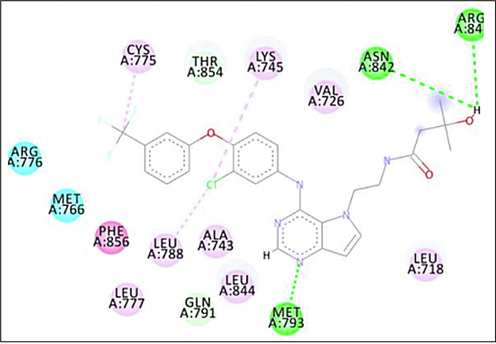 2D intermolecular interactions between docked (TAK-285) and 3POZ protein. Green and pink colored amino acids represent their contribution to hydrogen bonds and hydrophobic interactions.