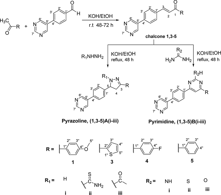 Synthesis pathway of chalcone, pyrazoline and pyrimidine derivatives.