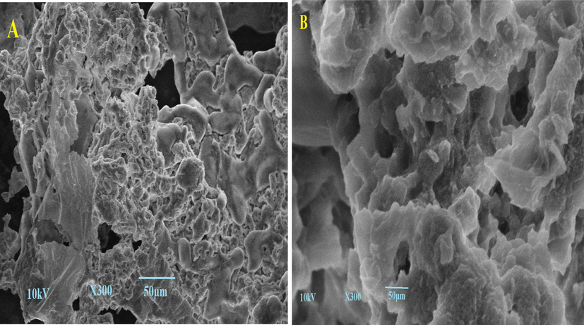 SEM images of lemon peel (A) before adsorption (B) After adsorption.