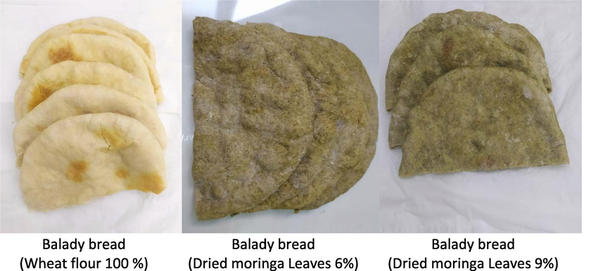 Balady bread prepared using dried moringa leaves powder as a partial substitute for wheat flour.