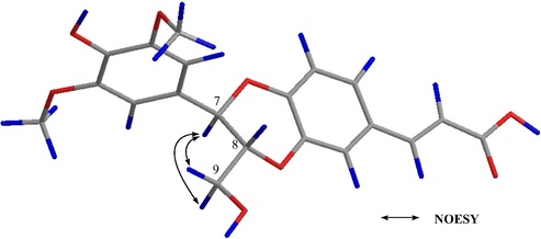 Key NOESY correlations of compound 17.