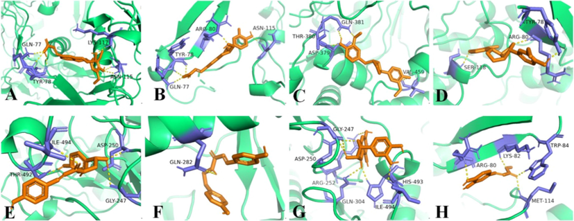 Molecular docking simulations of compounds 17 (A), 18 (B), 19 (C), 20 (D), 26 (E), 27 (F), 32 (G), and 34 (H) with iNOS (3HR4). The hydrogen bonds interactions are shown by yellow dashed lines.