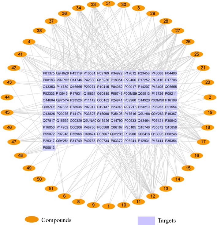 Compound-target network diagram.