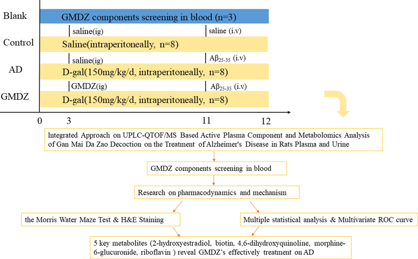 The scheme of the study.