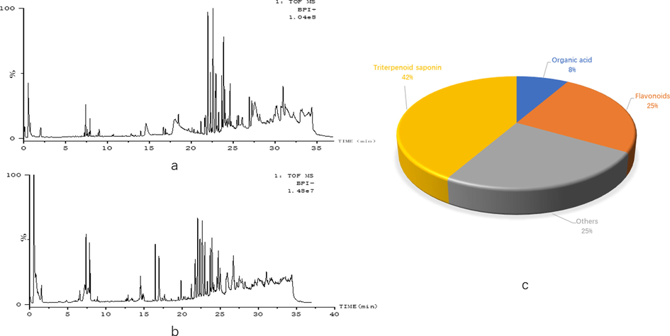 12 active components in GMDZ decoction were screened in Blood (a, BPI plot of GMDZ decoction screening in ESI+; B, BPI plot of GMDZ decoction screening in ESI−; c, the classification and percentage of 12 components in GMDZ decoction).