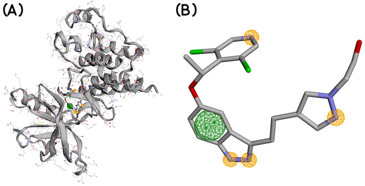 Features of the generated pharmacophore model; the yellow circles indicate hydrogen bond acceptors and the green circle indicates hydrophobic interaction site.