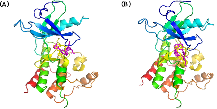 Best docked poses of the ligand to V550LFGFR4, as calculated by (A) AutoDock Vina and (B) iGEMDOCK, and superimposed on the native protein structure (PDB ID: 5XFF). LY2874455 is shown in yellow and PubChem- 137300327 is shown in pink.