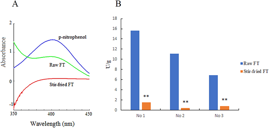 UV–VIS spectra (A). β-D-glucosidase enzymatic activity of raw FT and stir- fried FT (B).