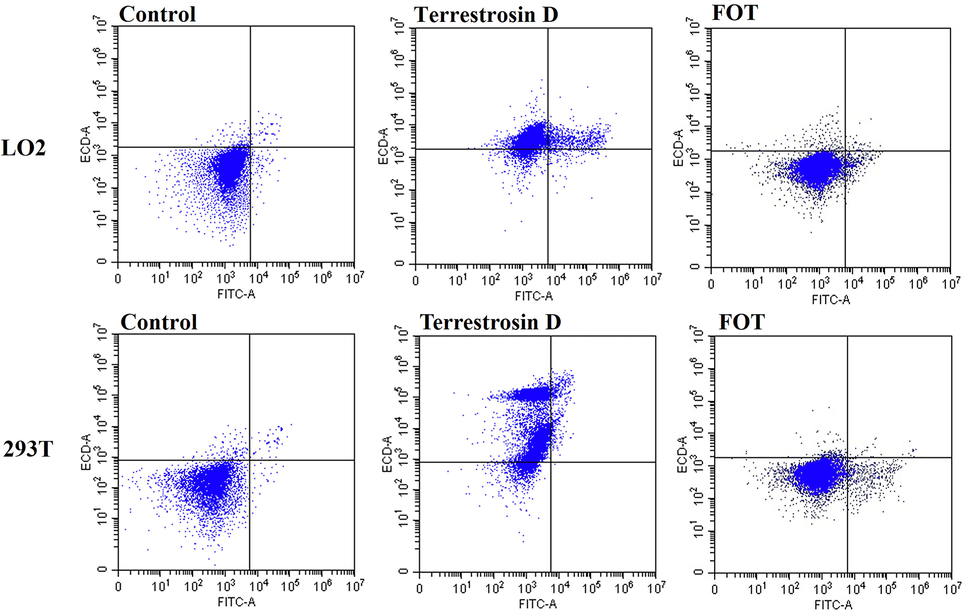 LO2 cells and 239 T cells were stained with annexin VFITC/PI, and then analyzed by flow cytometry.