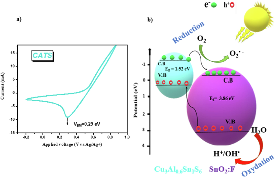 a) Cyclic voltammogram of CATS thin film, b) Mechanism of visible light antibacterial activity of CATS/SnO2:F heterojunction.