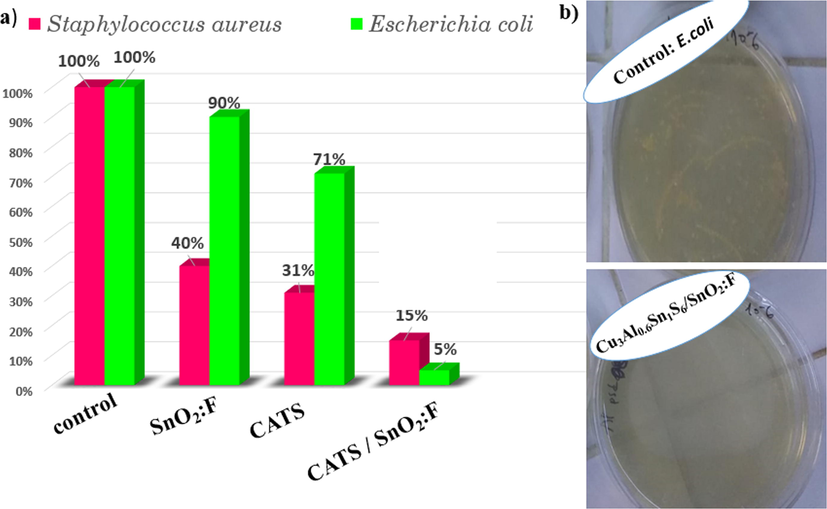 Percentage of bacterial inhibition of E. coli and S. aureus bacteria against SnO2:F and CATS films and CATS/SnO2:F heterojunction by monitoring the optical density (OD) at 600 nm. Antibacterial activity assay of CATS/SnO2:F heterojunction against E. coli.