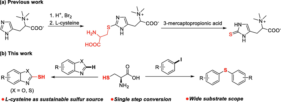 L-cysteine as sulfur source in organic synthesis.