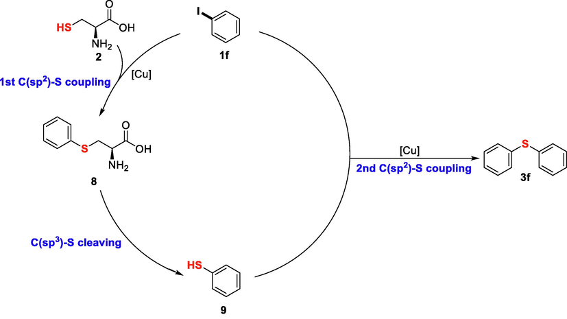 Plausible reaction pathway.