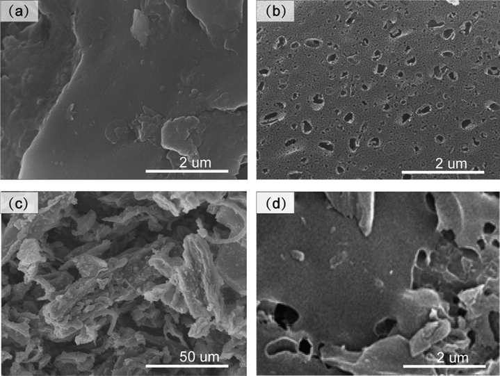 SEM micrographs of (a) PCB, and (b) TMB, (c) tobacco stem pre-carbonization, (d) TSB.