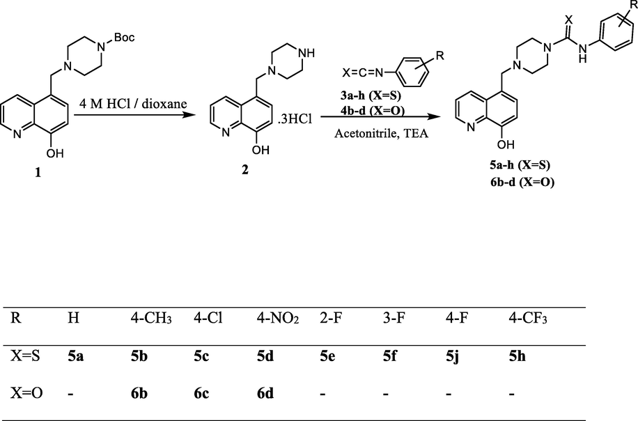 Synthesis of 8-hydroxyquinoline thiourea (5a-h) and hydroxyquinoline urea (6b-d) derivatives.