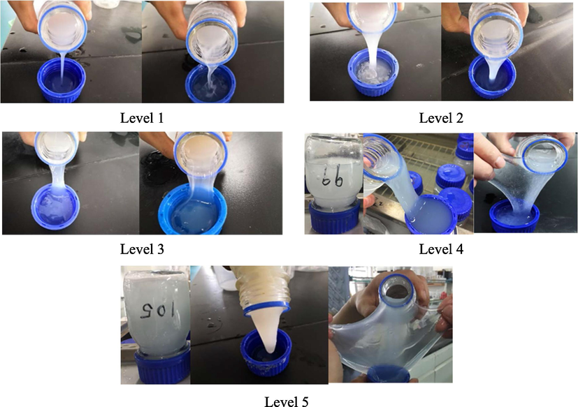 Division and description of five levels of weak gel strength.