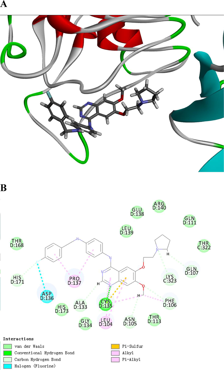 Representations of lowest energy docking poses of LU1501 bound to IkBα proteins. (A) 2D interactions (B) 3D interactions.