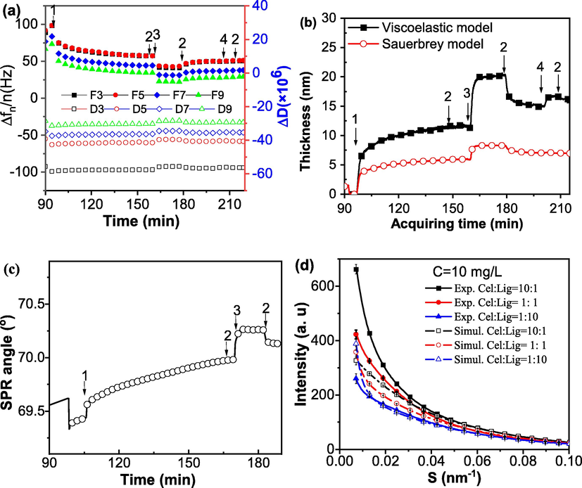 Interactions study between cellulase (Cell) and lignosulfonate (LS). (a) Frequency change and energy dissipation for the interaction between cellulase and LS was obtained on a QCM-D E4 equipment in-situ and in real time. (b) Fitted thickness of the layer on cellulase film with the addition of LS. Solid symbols and stars represent the data extracted from viscoelastic modeling while open symbols derived from Sauerbrey equation directly (c) SPR signal change for the interaction between LS and cellulase was obtained on a MP-SPR. (d) The small-angle X-ray scattering signal of the mixture of cellulase and LS in different proportion. (Cellulase and LS concentrations were both 10 mg/mL and dissolved in 0.05 M, pH 4.8 acetate buffer solution).