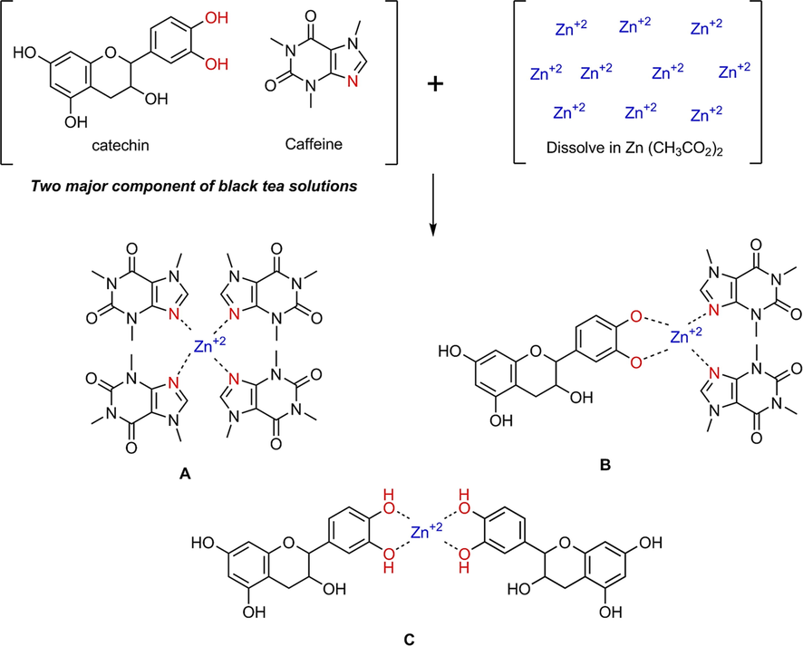 The proposed structures for the formation of (A) Zn2+-PPL complex, (B) Zn2+-caffeine complex and (C) complex form involving both polyphenol and caffeine components.