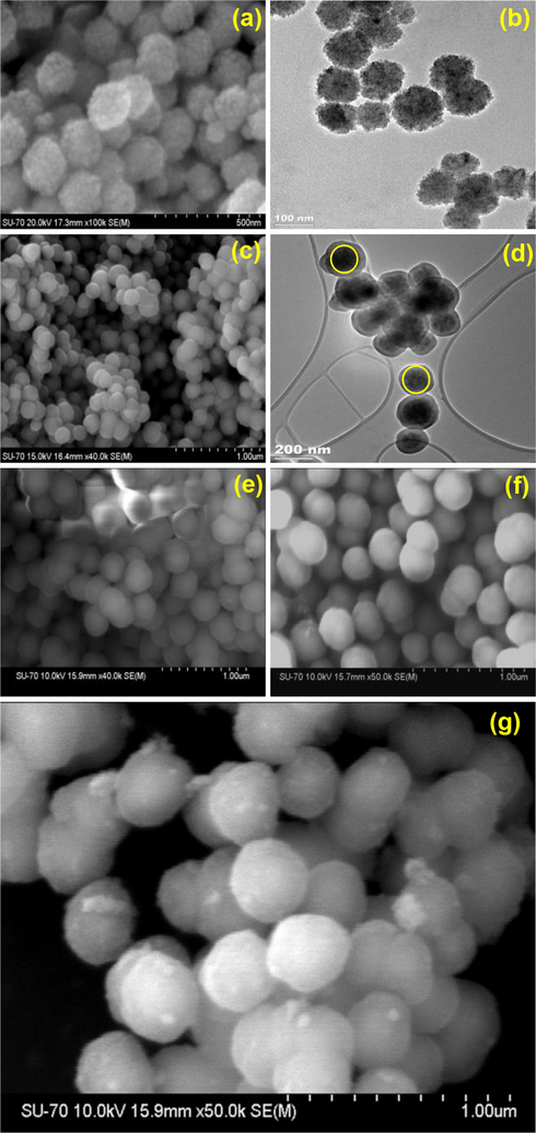 (a) SEM image of Fe3O4, (b) nano scale SEM image of Fe3O4, (c) SEM image of 1, (d) nano scale SEM image of 1, (e) SEM image of 2, (f) SEM image of 3, (g) SEM image of 4.